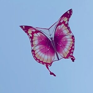 Large Colourful butterfly kite LIKE NEW